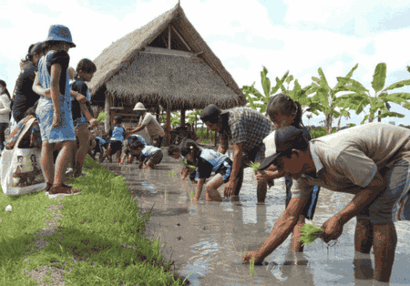 Teba Majalangu destinasi wisata bali