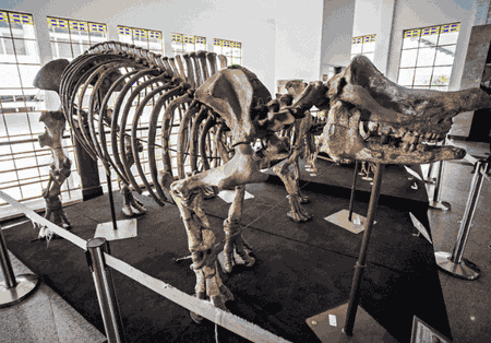Museum Geologi Bandung
