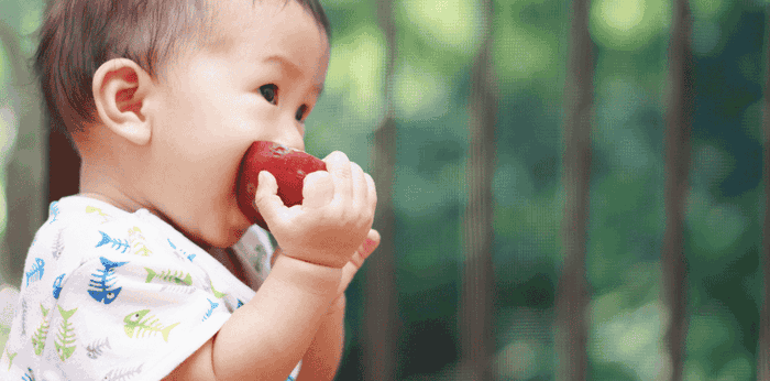 Ini Rekomendasi Camilan Bayi 9 Bulan yang Belum Tumbuh Gigi