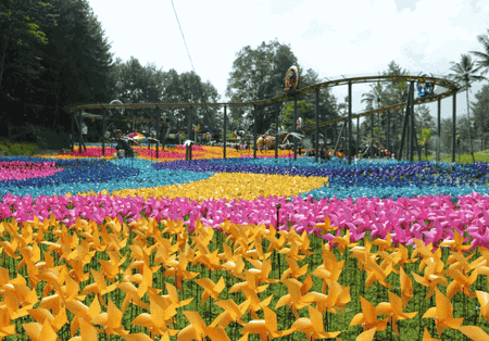 Dairyland Riverside wisata puncak