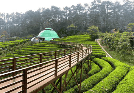 Agrowisata Gunung Mas