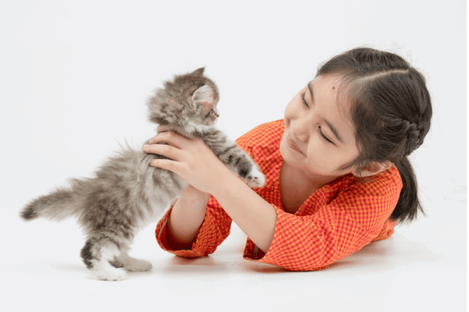 Penyebab dan Faktor Risiko Pilek Alerg