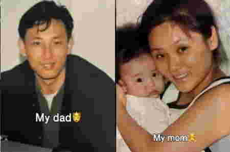 Profil dan Biodata Mingyu Seventeen