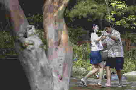 Film Park Chan Wook No Other Choice