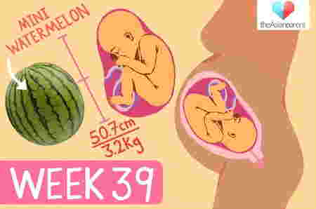 Perkembangan janin 39 minggu dan tahap persalinan bayi