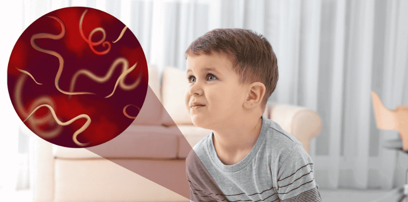 Ini Dosis Obat Cacing untuk Anak 2 Tahun yang Aman agar Tidak Cacingan Lagi
