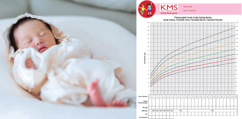 KMS Bayi Perempuan: Isi dan Arti Warna Garis Pertumbuhannya
