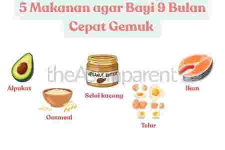 5 makanan sehat agar berat badan bayi 9 bulan cepat gemuk