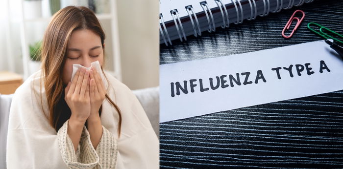 Mengenal Apa Itu Virus Influenza Tipe A dan Gejala Penyakitnya