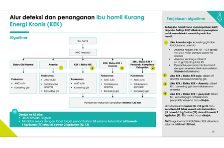 Alur deteksi dan penanganan ibu hamil Kurang Energi Kronis (KEK)