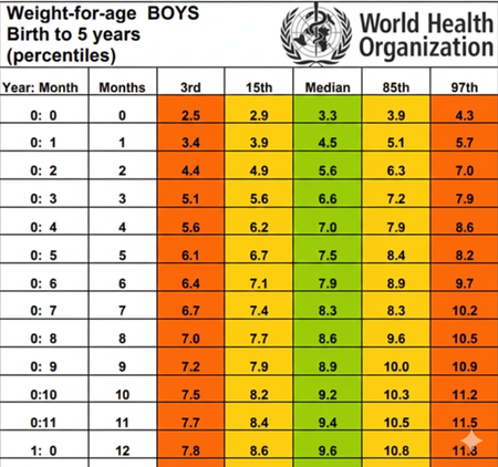 Ini Berat Badan Bayi 8 Bulan yang Ideal dan Cara agar Cepat Gemuk