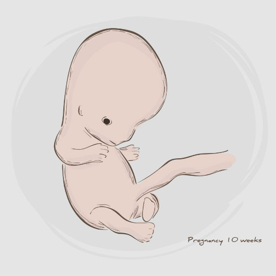 วิธีสังเกตว่าท้องหรือไม่