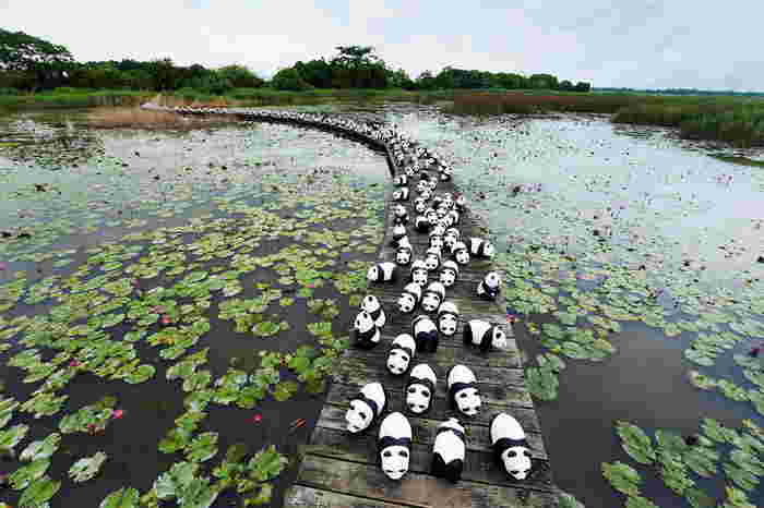 12729005_182536522114376_2643457349976240941_n