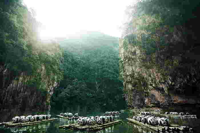 12744445_182536538781041_6095684650898175004_n