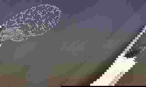 สมอง3ส่วน