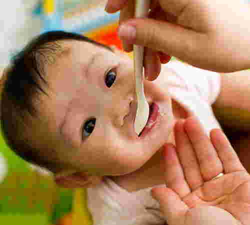 อะโวคาโด วิธีเลือกอะโวคาโด
