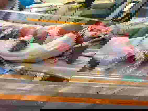 ครอบครัวสมบูรณ์ แม่ ศพลูก