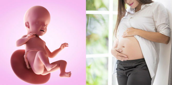 4 วิธีสร้างเสริมพัฒนาการสมองของลูกตั้งแต่อยู่ในครรรภ์