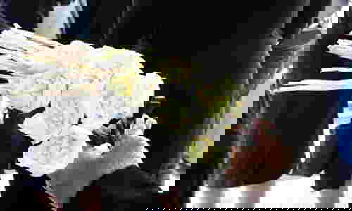 ดอกไม่ในงานศพ