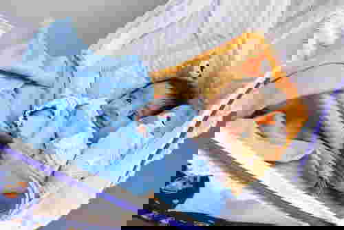 แปลความหมายชื่อ ปาลินแปลว่า ตั้ง ชื่อลูกสาว พร้อม แปลความหมาย ณชา แปลว่า ความหมายของชื่อ แปลความหมายชื่อจริง