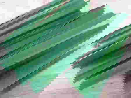 น้ำใบเตย