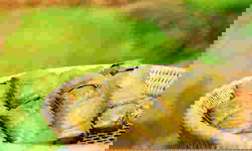 จันทร์หอม