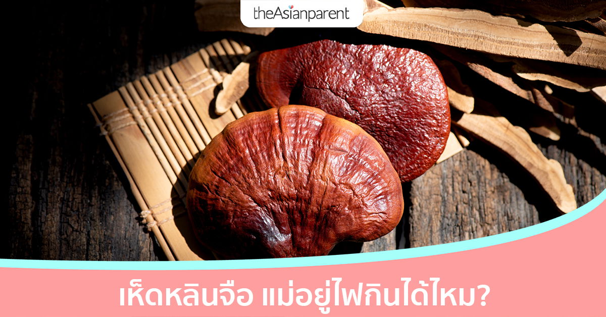เห็ดหลินจือ กินแล้วดียังไง ช่วงคุณแม่อยู่ไฟกินได้ไหม? มาดูกัน