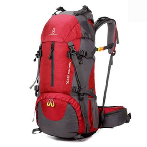 กระเป๋าเดินป่า