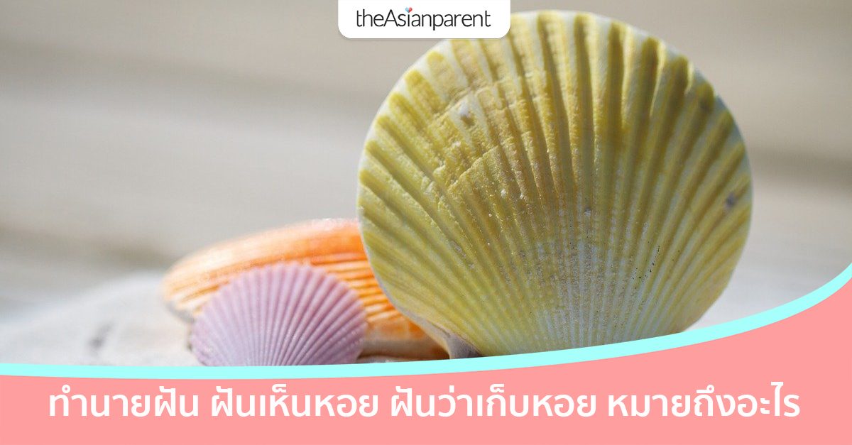 ฝันว่าเก็บหอย ฝันเห็นหอย ฝันเห็นหอยทาก ทำนายฝันแม่น ๆ พร้อมเลขเด็ด