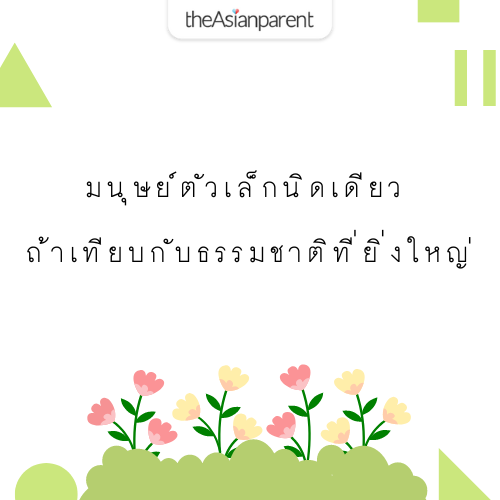My Image 12
