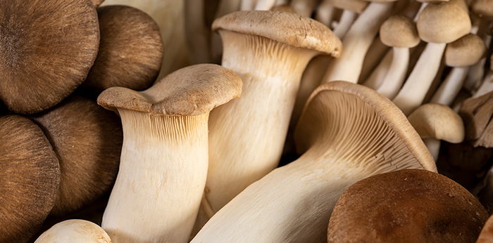 รวมสูตร! 5 เมนูเห็ดออรินจิ เพื่อสุขภาพ อร่อย ทำง่าย ได้แคลอรีน้อย