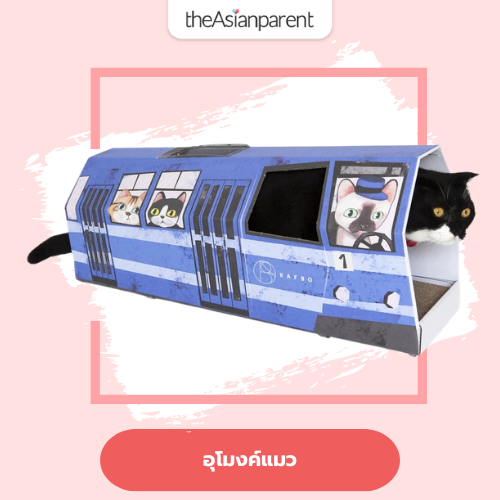 อุโมงค์แมว