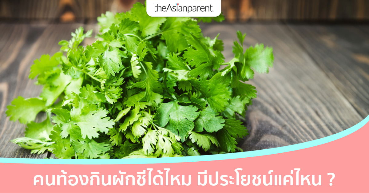คนท้องกินผักชีได้ไหม เมนูไหนก็มีผักชี แน่ใจไหมว่าปลอดภัยกับคนท้อง