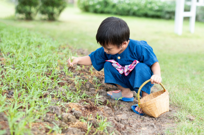 ลูกชอบเก็บของสะสม