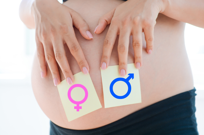 ทายเพศลูกจากใบไม้