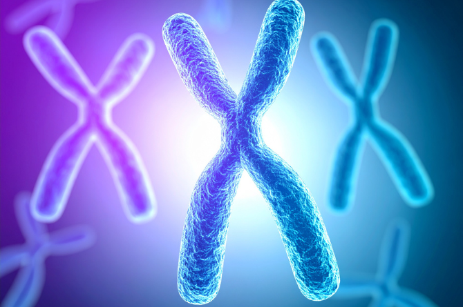 ทริปเปิ้ลเอ็กซ์ซินโดรม Triple X Syndrome