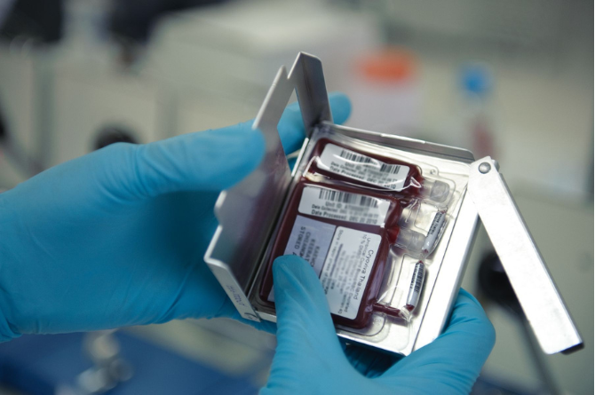 สเต็มเซลล์ 