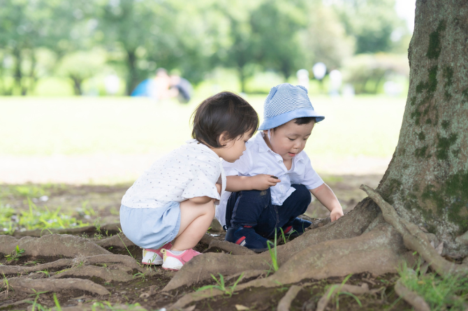 สอนลูกจับปลา