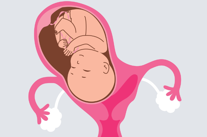 มดลูกรูปหัวใจ