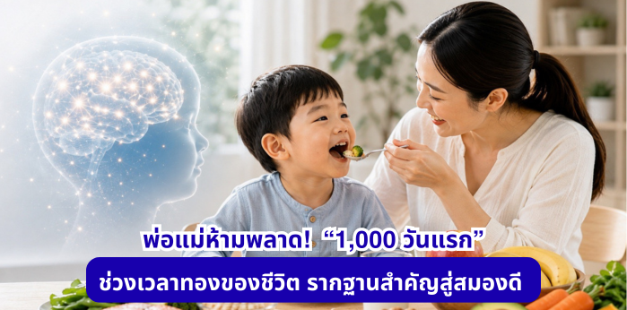 featured slider image 11