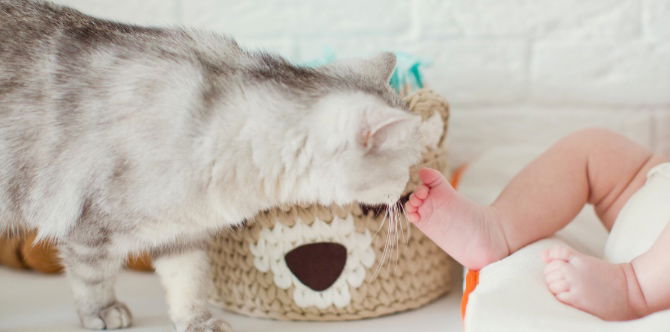 7 Tanda Bayi Alah Dengan Haiwan Peliharaan, Ibu Ayah Perlu Take Note!