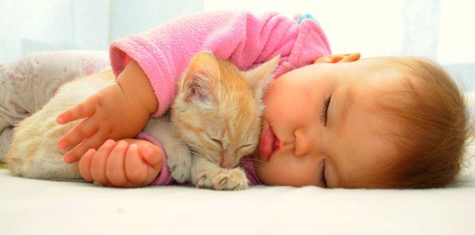 Introduce your kucing tersayang to your newborn!