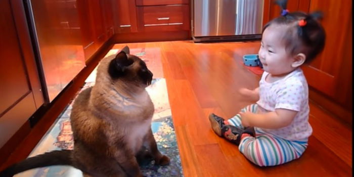 (Video) Bayi Perempuan Ini Cuba Berbicara Dengan Kucing Kesayangannya, Comel Sungguh!