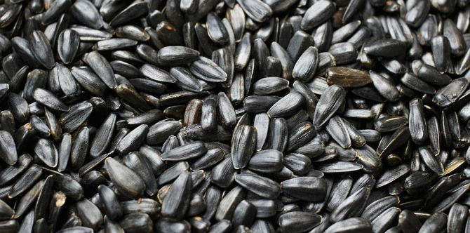 10 Cancer-causing foods you probably eat every day