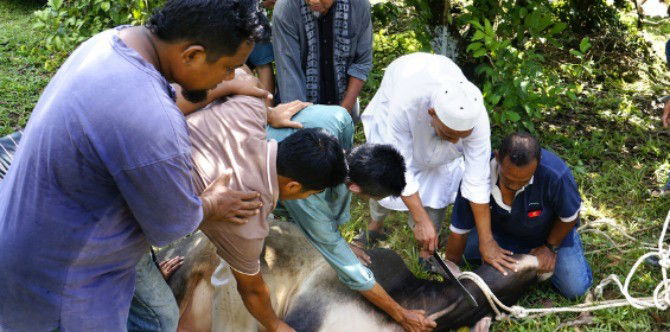 What you should know about Hari Raya Haji