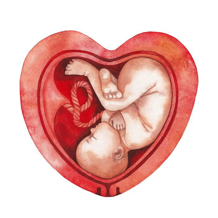 Here's How Babies Fit In The Womb