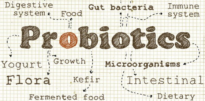 What Are The Benefits of Probiotics During Pregnancy?