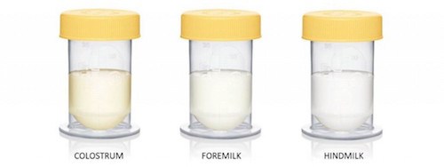 perubahan warna susu badan