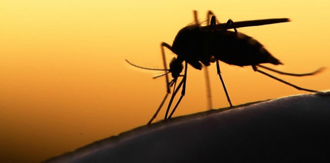 Amaran 'Monkey Malaria' Oleh Pihak Berkuasa Kesihatan Sabah
