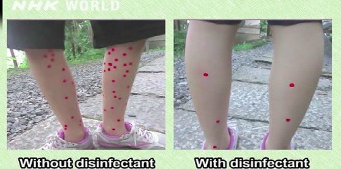Betul Ke Kerap Basuh Kaki Boleh Kurangkan Risiko Digigit Nyamuk?
